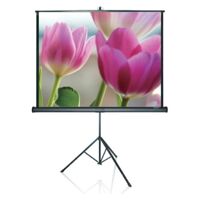 Màn chiếu đứng Grandview PT-H84x84WM - 84 x 84 inch (2.13 x 2.13 m)