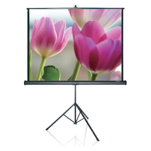 Màn chiếu đứng Grandview PT-H84x84WM - 84 x 84 inch (2.13 x 2.13 m)