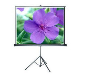 Màn chiếu đứng Grandview PT-L96x96WM - 96 x 96 inch (2.44 x 2.44 m)