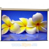 Màn chiếu điện Dalite - 80 x 80 inch (2.03m x 2.03m)