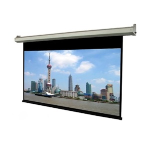 Màn chiếu Điện Dalite P170ES 170Inch