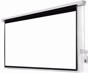 Màn chiếu điện Dalite P225ES - 225 inch