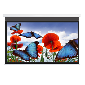 Màn chiếu DNP Flex 100 inch