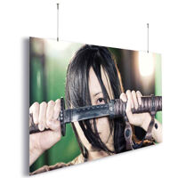 Màn chiếu DNP Supernova Blade 120 Inch (16:9)