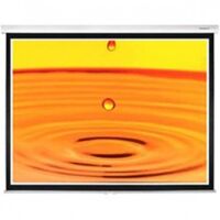 Màn chiếu treo Grandview FA-P70x70WM - 70 x 70 inch (1.78 x 1.78 m)