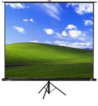 Màn chiếu treo tường Da-Lite (80″ x 80″ )113 ich (2.03×2.03m)