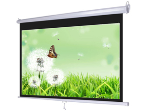 Màn chiếu treo tường Dalite PL170WS - 17 inch