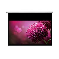 Màn chiếu treo tường Grandview Fantasy 100 inch