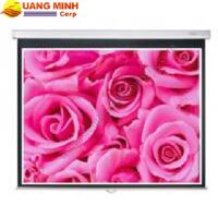 Màn chiếu treo tường ScreenPro WS3100