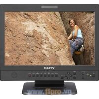 Màn hình máy tính chuyên dụng Sony LMD-1530W - 15.3 inch