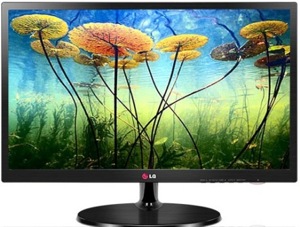 Màn hình máy tính LG 19EN43S - LED - 18.5 inch - 1366 x 768