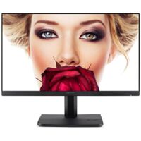 Màn hình máy tính Acer ET241 24 inch