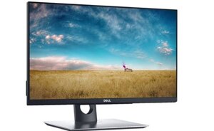 Màn hình máy tính LCD Dell P2418HT - 24 inch