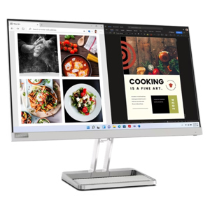 Màn hình máy tính Lenovo L24i-40 23.8 inch