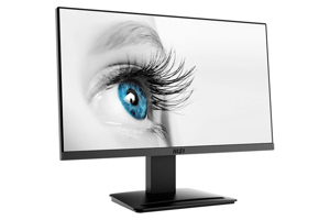 Màn hình máy tính MSI Pro MP225 21.5 inch