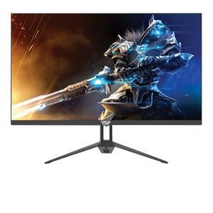 Màn hình VSP IP2505W, 25 inch