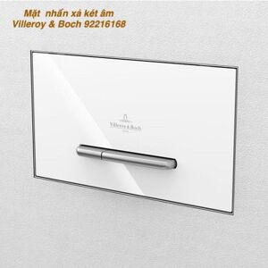 Mặt nhấn xả két âm Villeroy & Boch ViConnect 92249061