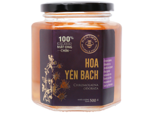 Mật ong chín hoa yên bạch Honimore hũ 500g