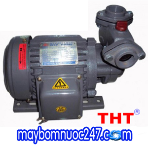 Máy bơm bánh răng vỏ gang đầu gang NTP HCP225-1.75 265T 1HP