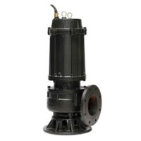 Máy bơm chìm công nghiệp thân gang THT WQ45-22-7.5 - 10HP