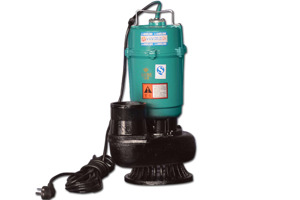 Máy bơm chìm nước thải sạch Purity QDX65-7-2.2 - 3HP