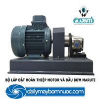 Máy bơm chịu hóa chất đầu bơm bằng inox Maruti MESX-040 1 HP