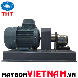 Máy bơm chịu hóa chất motor Teco đầu bơm bánh răng bằng gang ROTOFLUID FT-100 2HP