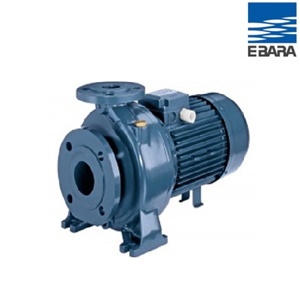 Máy bơm công nghiệp Ebara 3D 50-125/9.2 - 12.5HP