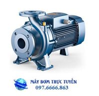 Máy bơm công nghiệp Pedrollo F100/160B - 18.5KW