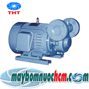 Máy bơm đẩy áp dùng trong lò hơi NTP HCP325-1.75 205 1HP