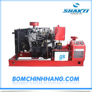 Máy bơm điện rời trục Shakti SSB 100-65-315 60HP