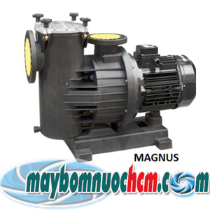 Máy bơm hồ bơi Saci Magnus-4 1250 12.5HP