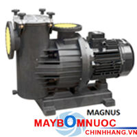 Máy bơm hồ bơi SACI Magnus 4 - 400 4HP