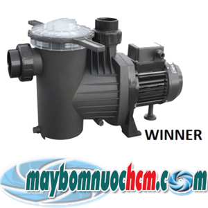 Máy bơm hồ bơi Saci Winner 300M 3HP