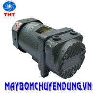 Máy bơm hút chân không Doovac SML-060 40W