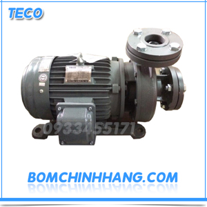 Máy bơm ly tâm 4 Pole Teco G32-65-4P-2HP