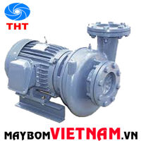 Máy bơm ly tâm dạng xoáy đầu gang NTP HVP3125-137 205 50HP