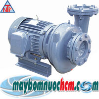 Máy bơm ly tâm dạng xoáy đầu gang NTP HVP3100-115 40 20HP