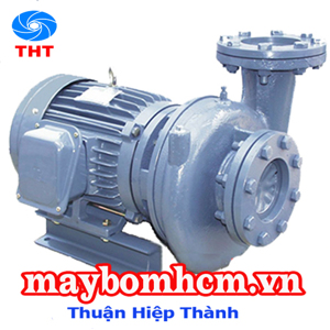 Máy bơm ly tâm dạng xoáy đầu gang NTP HVP2125-111 205 15HP