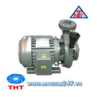 Máy bơm ly tâm dạng xoáy đầu gang NTP HVP340-1.75 205 1HP