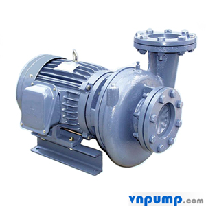 Máy bơm ly tâm dạng xoáy đầu gang NTP HVP3150-119 40 25HP