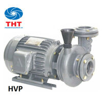 Máy bơm ly tâm dạng xoáy đầu gang NTP HVP3100-17.5 205 10HP