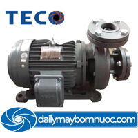 Máy bơm ly tâm đầu gang 2Pole TECO G32-50-2P-2HP