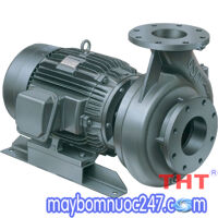 Máy bơm ly tâm đầu gang 2 Pole TECO G325-80-2P-25HP