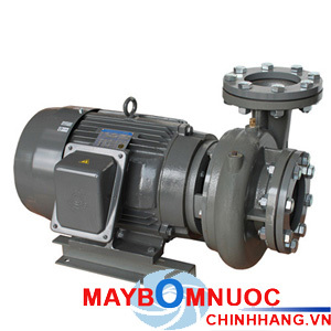 Máy bơm ly tâm đầu gang 2Pole TECO G330-80-2P-30HP