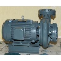 Máy bơm ly tâm Teco Việt Nam 2 cực G340-100-2P-40HP