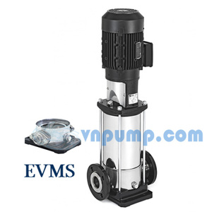 Máy bơm ly tâm trục đứng đa tầng cánh EBARA EVMS 3 5N5Q1BEGE/0.55  0.75HP