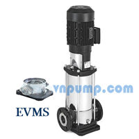 Máy bơm ly tâm trục đứng đầu inox EBARA EVMS 10 19F5HQ1BEGE/7.5 10HP