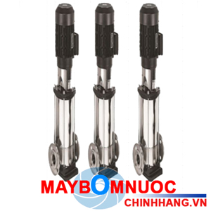 Máy bơm ly tâm trục đứng Ebara EVMSG3 2F5/0.37 0.5HP 380V