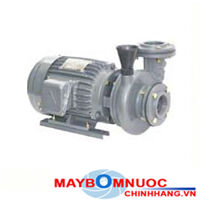 Máy bơm ly tâm trục ngang đầu gang dạng xoáy NTP HVP3125-115 40 20HP